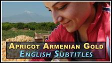 APRICOT SUBTITLES RENT